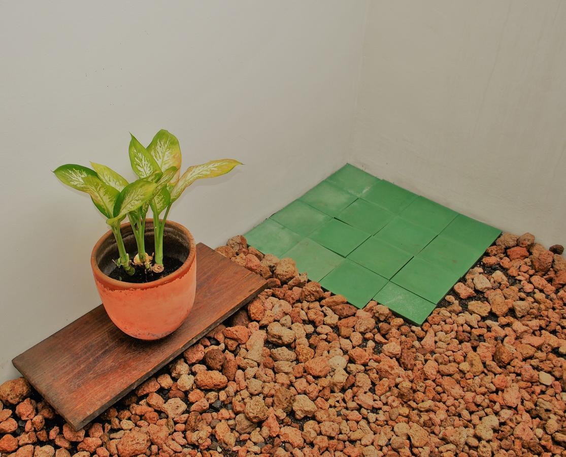 Casa Calala Aparthotel Granada Bagian luar foto